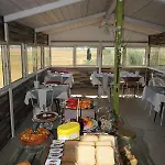 Naumanni Tarquinia