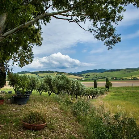 Naumanni Tarquinia