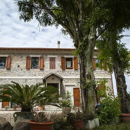 Bed & Breakfast Naumanni
