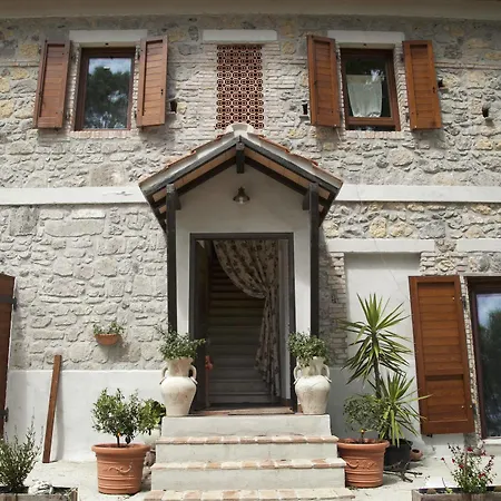 Naumanni Tarquinia