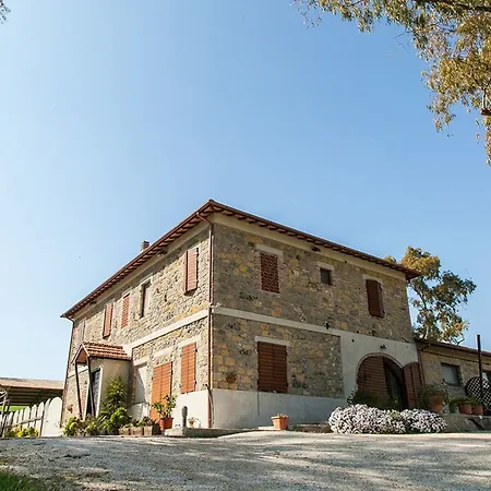 Naumanni 3*